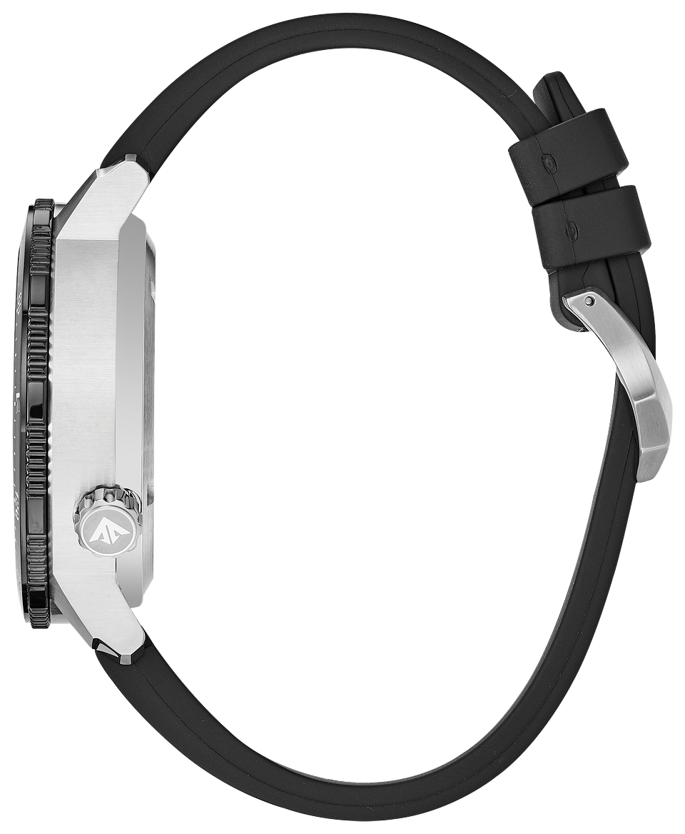 altichron promaster